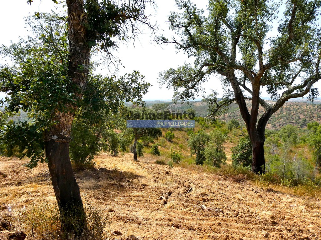 Quinta - Almod�var, Almod�var, Beja - Miniatura: 3/9
