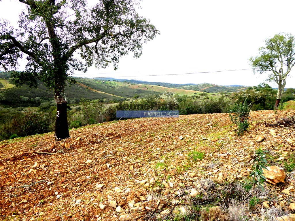 Quinta - Almod�var, Almod�var, Beja - Miniatura: 5/9