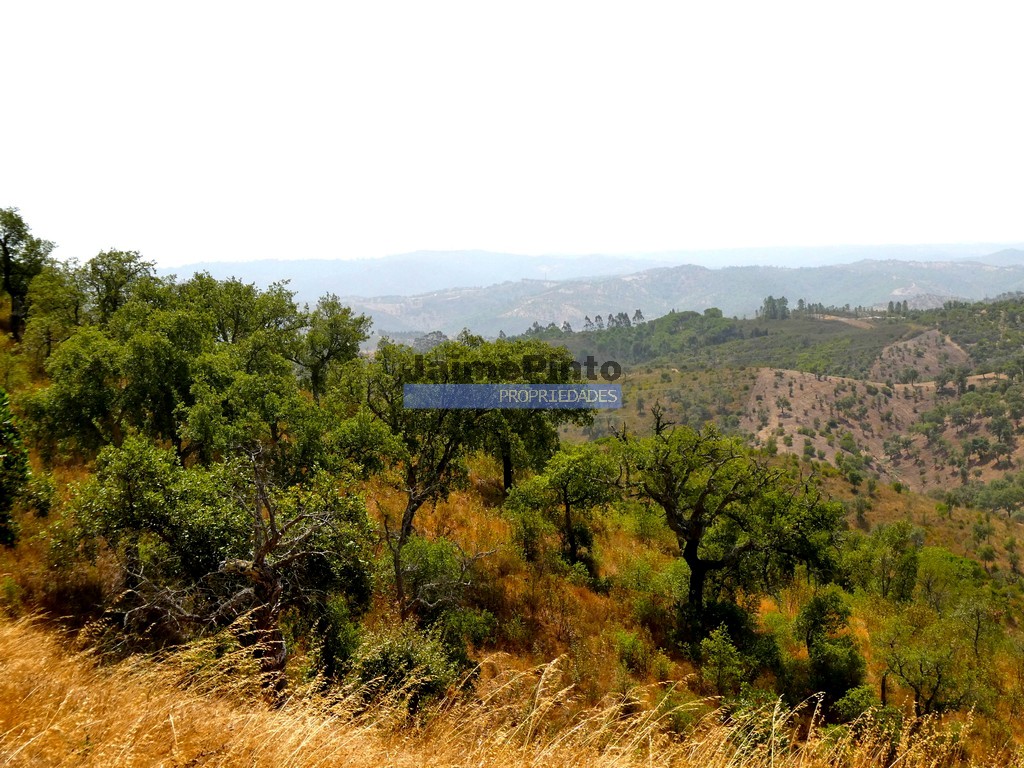 Quinta - Almod�var, Almod�var, Beja - Miniatura: 6/9