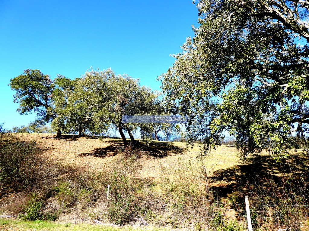 Quinta - Almod�var, Almod�var, Beja - Miniatura: 7/9