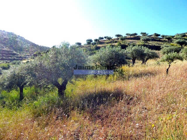 Terreno R�stico - Escalh�o, Figueira de Castelo Rodrigo, Guarda - Imagem grande
