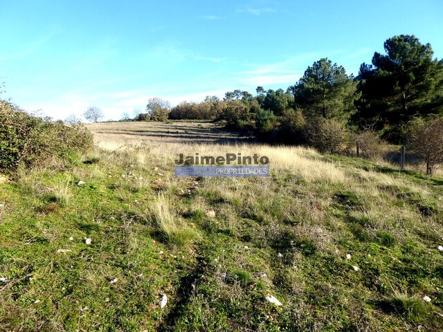 Terreno R�stico - Figueira de Castelo Rodrigo, Figueira de Castelo Rodrigo, Guarda - Imagem grande