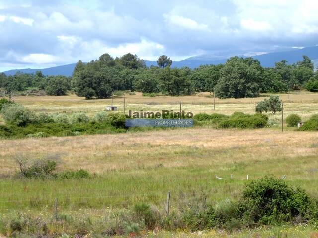 Terreno R�stico - Belmonte, Belmonte, Castelo Branco - Imagem grande