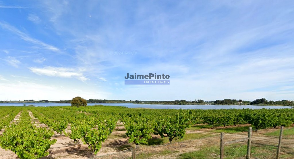 Quinta T5 - Fund�o, Fund�o, Castelo Branco - Imagem grande
