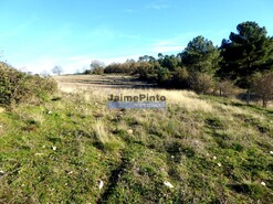 Terreno R�stico - Figueira de Castelo Rodrigo, Figueira de Castelo Rodrigo, Guarda