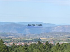 Terreno R�stico - Figueira de Castelo Rodrigo, Figueira de Castelo Rodrigo, Guarda - Miniatura: 6/9