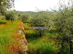 Terreno Rstico - Gouves do Douro, Sabrosa, Vila Real - Miniatura: 2/9