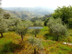 Terreno Rstico - Gouves do Douro, Sabrosa, Vila Real - Miniatura: 3/9