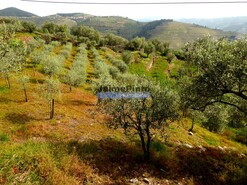 Terreno Rstico - Gouves do Douro, Sabrosa, Vila Real - Miniatura: 5/9