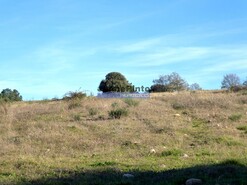 Terreno R�stico - Figueira de Castelo Rodrigo, Figueira de Castelo Rodrigo, Guarda - Miniatura: 3/3