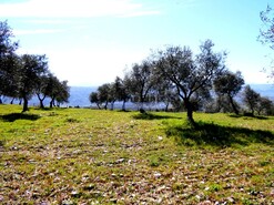 Quinta - Vila Flor, Vila Flor, Bragana - Miniatura: 6/9