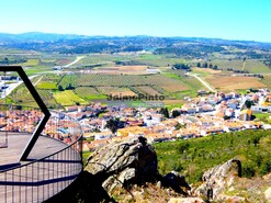 Quinta - Vila Flor, Vila Flor, Bragana - Miniatura: 8/9