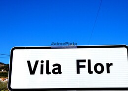 Quinta - Vila Flor, Vila Flor, Bragana - Miniatura: 9/9