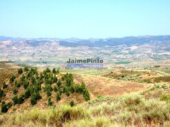 Terreno Rstico - Vilarelhos, Alfndega da F, Bragana - Miniatura: 2/9