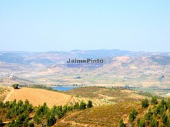 Terreno Rstico - Vilarelhos, Alfndega da F, Bragana - Miniatura: 4/9