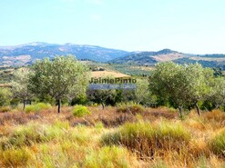 Terreno Rstico - Vilarelhos, Alfndega da F, Bragana - Miniatura: 7/9