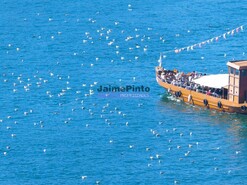 Apartamento T0 - Santo Ildefonso, Porto, Porto - Miniatura: 6/7