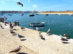 Hotel/Residencial - Ferragudo, Lagoa (Algarve), Faro (Algarve) - Miniatura: 3/7