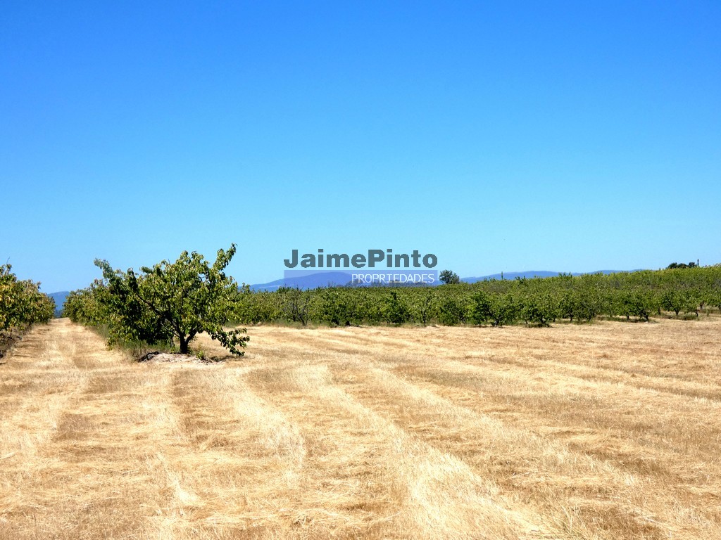 Quinta T5 - Fund�o, Fund�o, Castelo Branco - Miniatura: 7/9