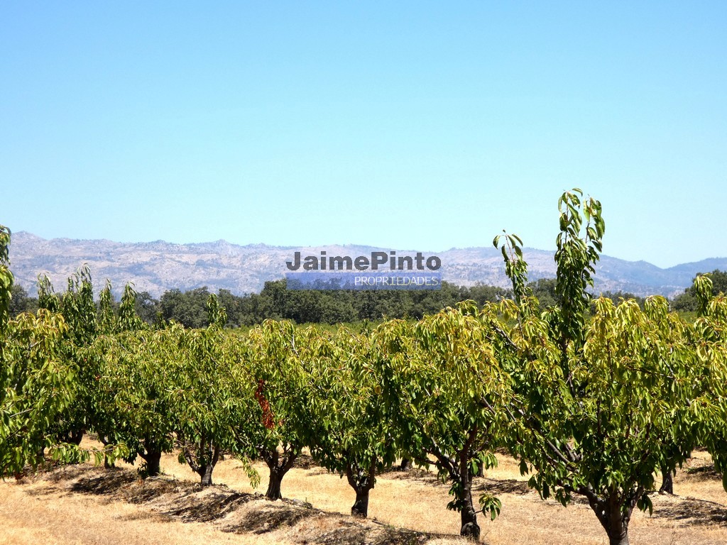 Quinta T5 - Fund�o, Fund�o, Castelo Branco - Miniatura: 8/9