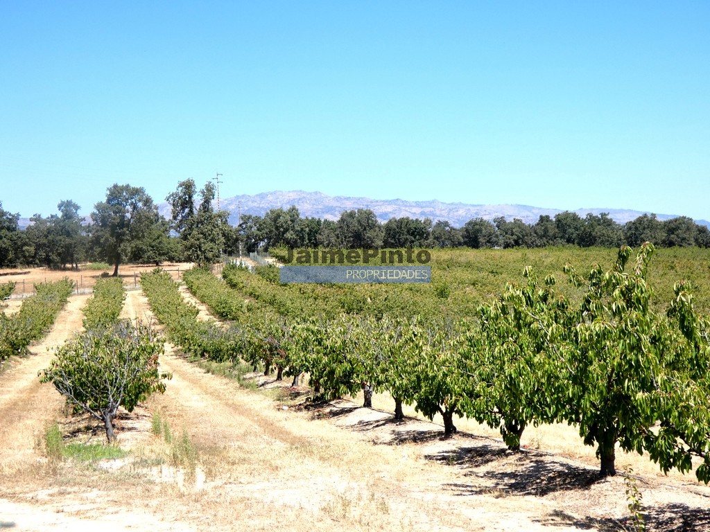 Quinta T5 - Fund�o, Fund�o, Castelo Branco - Miniatura: 9/9