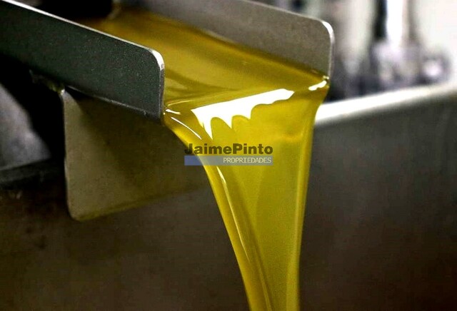 Pr�dio - Vila Nova de Foz C�a, Vila Nova de Foz C�a, Guarda - Imagem grande