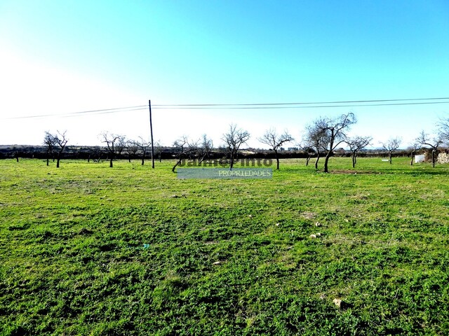 Ruina - Figueira de Castelo Rodrigo, Figueira de Castelo Rodrigo, Guarda - Imagem grande
