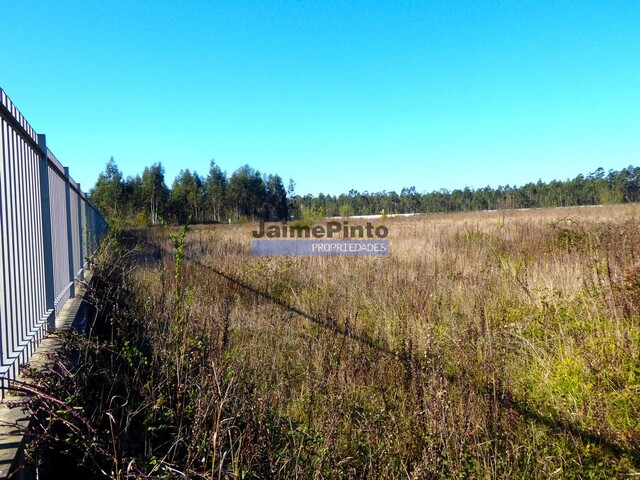 Armazm - Albergaria-a-Velha, Albergaria-a-Velha, Aveiro - Imagem grande