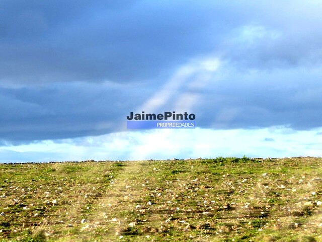 Terreno R�stico - Figueira de Castelo Rodrigo, Figueira de Castelo Rodrigo, Guarda - Imagem grande