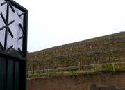 Armaz�m - Vila Flor, Vila Flor, Bragan�a - Miniatura: 4/5