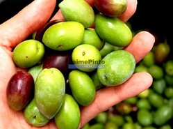 Pr�dio - Vila Nova de Foz C�a, Vila Nova de Foz C�a, Guarda - Miniatura: 5/9