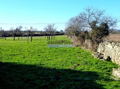 Ruina - Figueira de Castelo Rodrigo, Figueira de Castelo Rodrigo, Guarda - Miniatura: 3/4