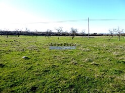 Ruina - Figueira de Castelo Rodrigo, Figueira de Castelo Rodrigo, Guarda - Miniatura: 4/4