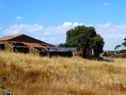 Terreno R�stico - Almod�var, Almod�var, Beja - Miniatura: 3/9