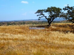 Terreno R�stico - Almod�var, Almod�var, Beja - Miniatura: 5/9