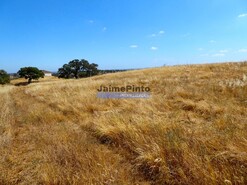 Terreno R�stico - Almod�var, Almod�var, Beja - Miniatura: 7/9