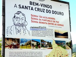 Terreno Rstico - Baio, Baio, Porto - Miniatura: 5/9