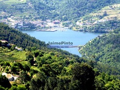 Terreno Rstico - Baio, Baio, Porto - Miniatura: 6/9