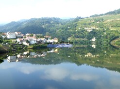 Terreno Rstico - Baio, Baio, Porto - Miniatura: 8/9