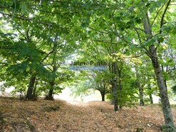 Terreno R�stico - Bai�o, Bai�o, Porto - Miniatura: 2/9