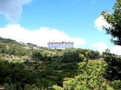 Terreno R�stico - Bai�o, Bai�o, Porto - Miniatura: 6/9