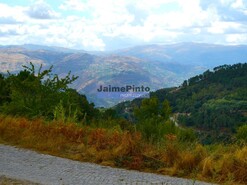 Terreno R�stico - Bai�o, Bai�o, Porto - Miniatura: 8/9