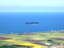 Loja - Viana do Castelo, Viana do Castelo, Viana do Castelo - Miniatura: 2/6