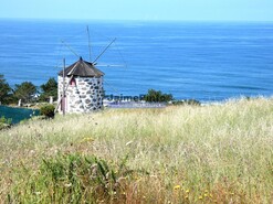 Loja - Viana do Castelo, Viana do Castelo, Viana do Castelo - Miniatura: 6/6