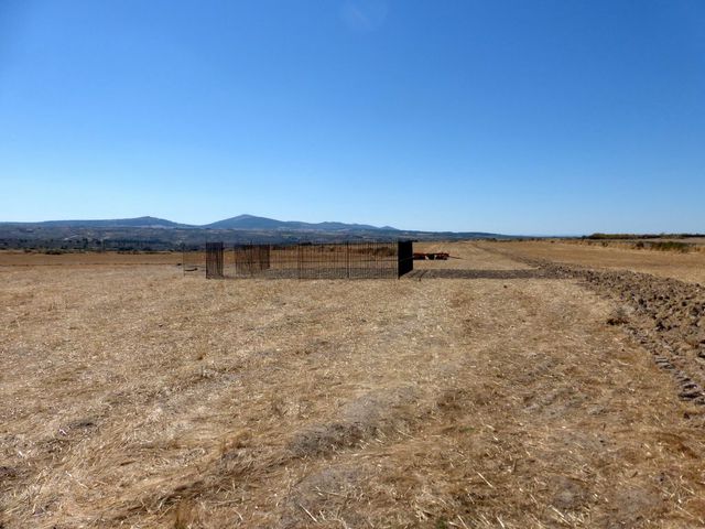 Terreno R�stico - Figueira de Castelo Rodrigo, Figueira de Castelo Rodrigo, Guarda - Imagem grande