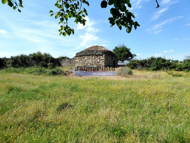 Quinta - Figueira de Castelo Rodrigo, Figueira de Castelo Rodrigo, Guarda - Imagem grande