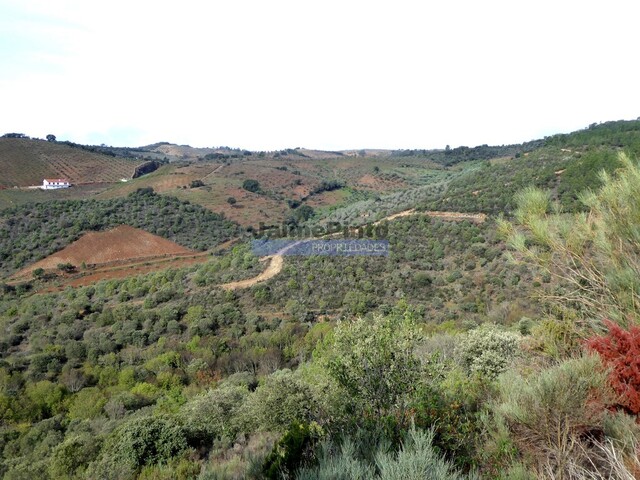 Terreno Rstico - Alfadega da F, Alfndega da F, Bragana - Imagem grande