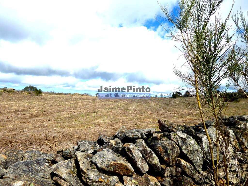 Terreno R�stico - Vilar de Amargo, Figueira de Castelo Rodrigo, Guarda - Imagem grande