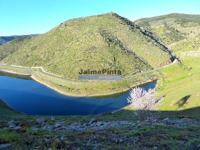 Terreno Rstico - Alfadega da F, Alfndega da F, Bragana - Imagem grande