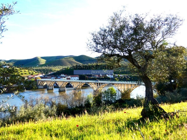 Terreno Rústico - Barca D´Alva, Figueira de Castelo Rodrigo, Guarda - Imagem grande